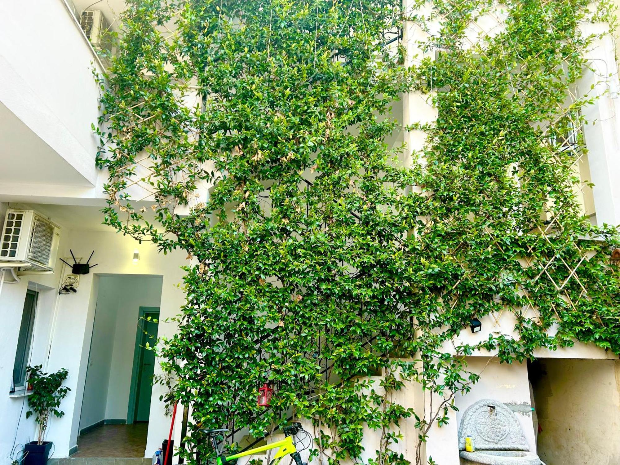 Budget Retreat Tirana & Studios Luaran gambar